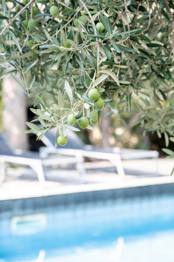 Beach Boy & Pool Girl Apartments Вир Екстер'єр фото